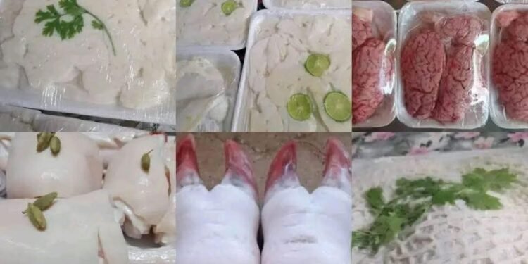 الاكل البيتى الصحي