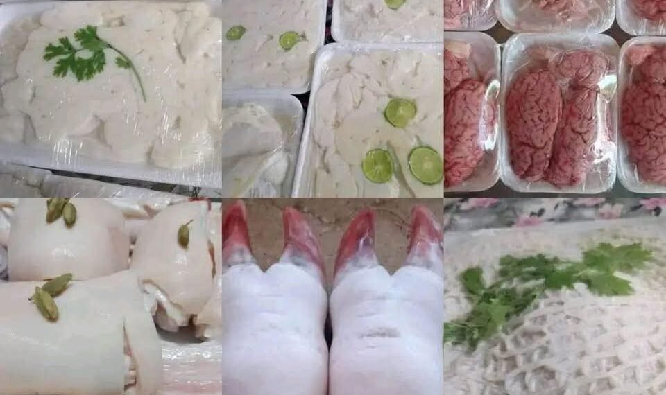 الاكل البيتى الصحي